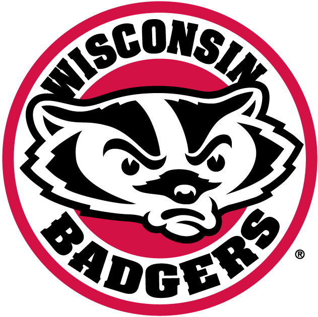 Wisconsin Badgers 2002-Pres Alternate Logo v2 diy iron on heat transfer...